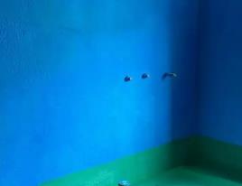 白山市卫生间测漏水多少钱